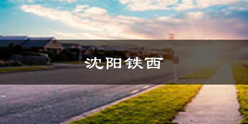 沈阳沈阳铁西天气预报未来一周