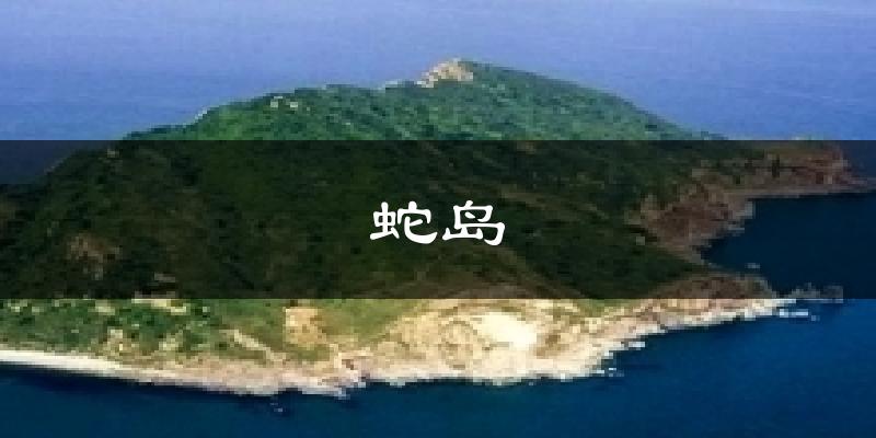 蛇岛气温