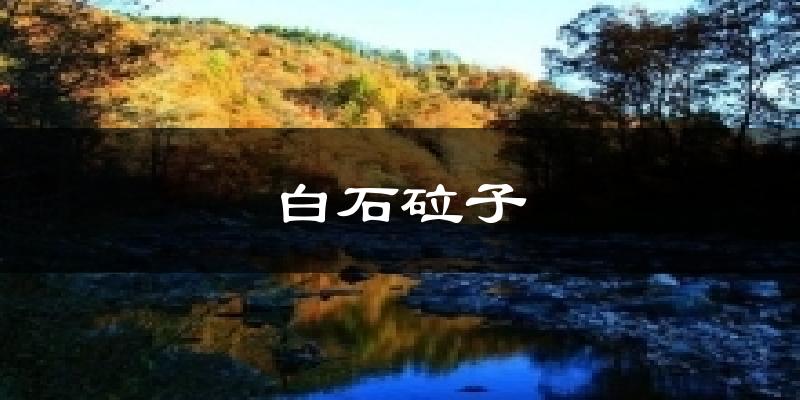 白石砬子气温