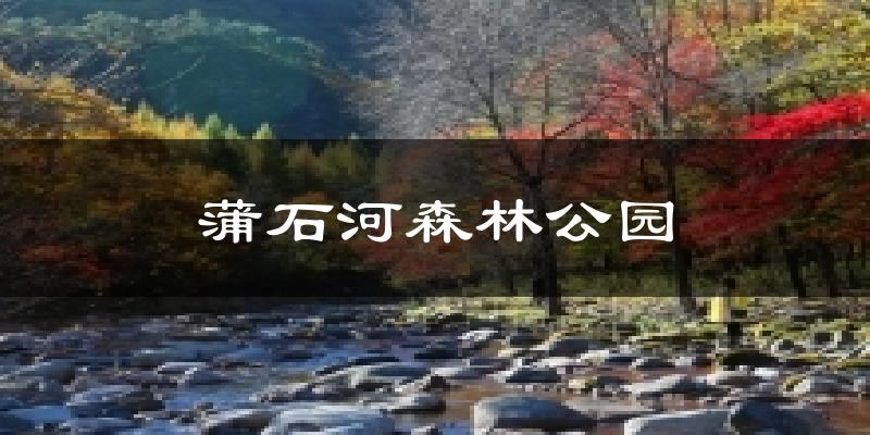 蒲石河森林公园气温