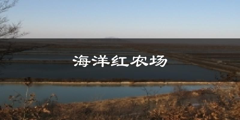 海洋红农场今日天气