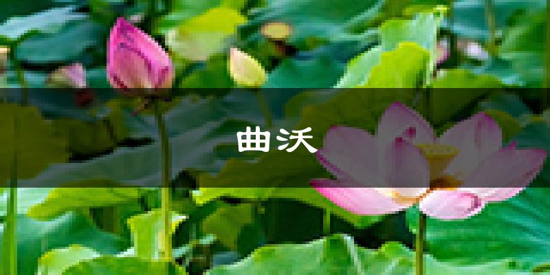 曲沃天气预报未来一周