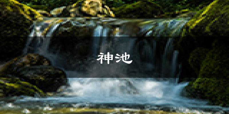 神池天气预报未来一周