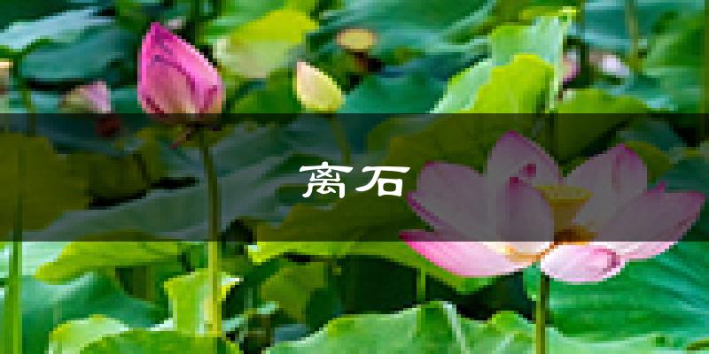 吕梁离石天气预报未来一周