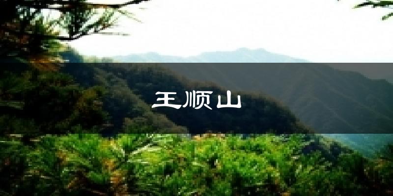 王顺山气温