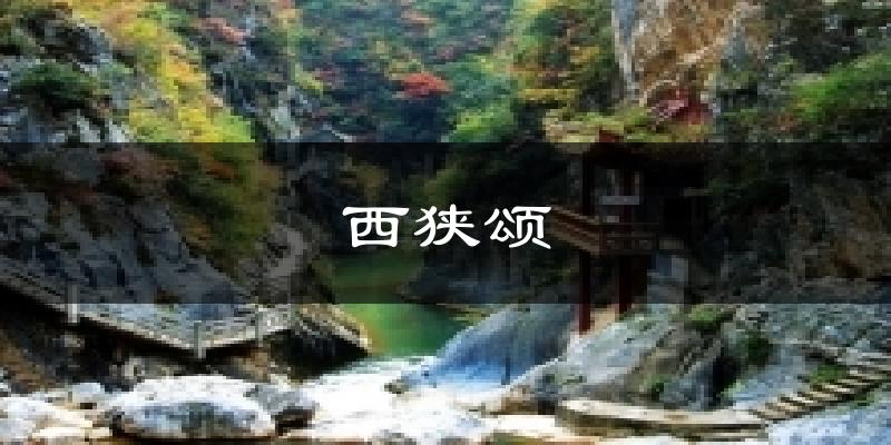 西狭颂气温