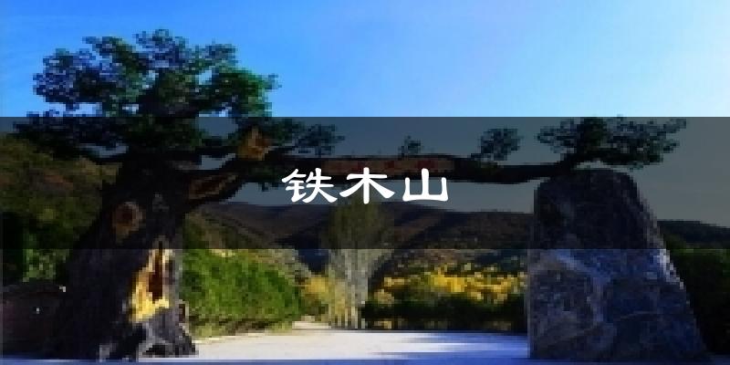 会宁铁木山天气预报未来一周