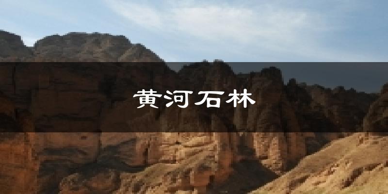 黄河石林气温