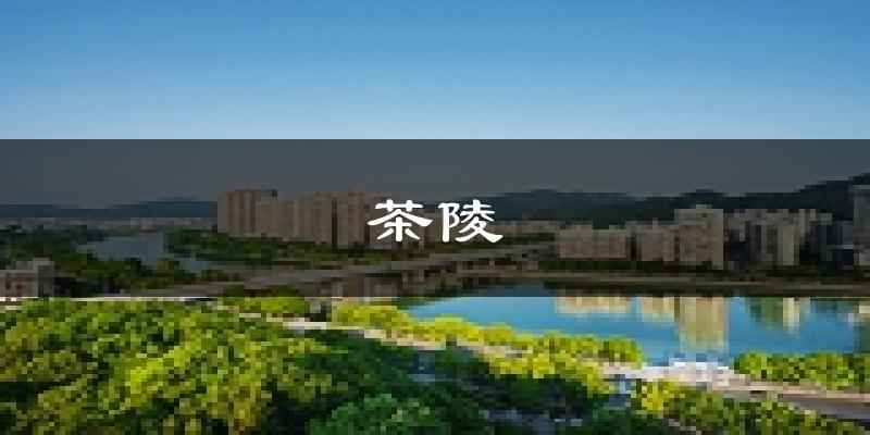 茶陵天气预报未来一周