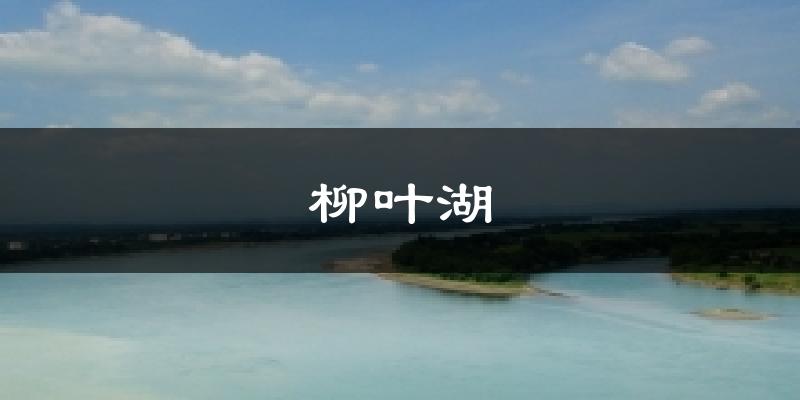 柳叶湖今日天气